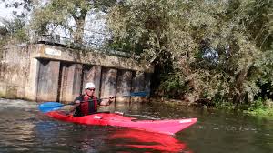 Image result for Battersea Canoe Club