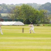 Image result for Portland Red Triangle Cricket Club
