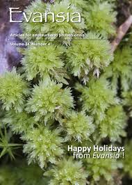 Attēlu rezultāti vaicājumam “Sphagnum compactum”