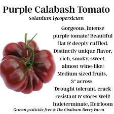 Afbeeldingsresultaat voor purple calabash tomato
