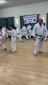 Image result for Haxby karate club