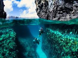 Image result for fernando de noronha