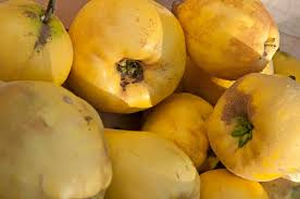 Attēlu rezultāti vaicājumam “Cydonia oblonga fruit”