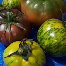 Afbeeldingsresultaat voor dark purple beefsteak tomato