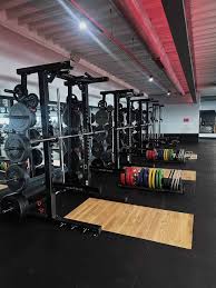 Image result for Avondale Gymnastics Club