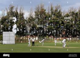 Image result for Oakfield Cricket Club