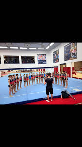 Image result for Swallows Of Helston Gymnastics Club