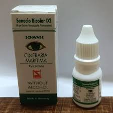 Image result for Cineraria maritima