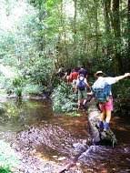 Image result for Tamworth Canoe Club