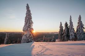 Image result for schnee