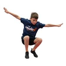 Image result for Torbay Olympic Gymnastics Club