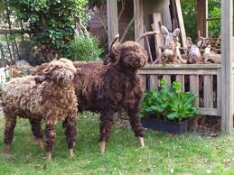 Image result for Heemtuin Rucphen