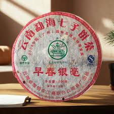 Image result for 2009早春