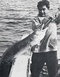 Image result for British Conger Club