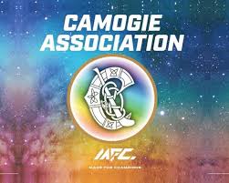 Image result for Ceann Creige Hurling and Camogie Club