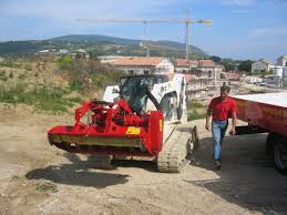 Image result for seppi tehron