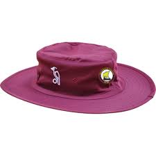 Image result for Gosport Borough Cc