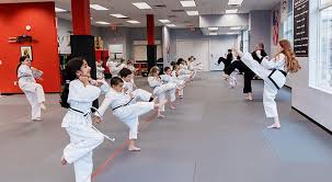 Image result for TRINITY KARATE ACADEMY