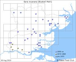 Attēlu rezultāti vaicājumam “Eana incanana”