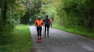 Image result for Tyneside Loipers