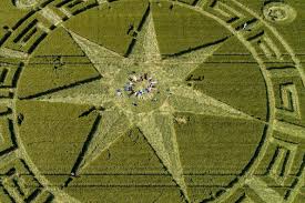 Image result for crop circles