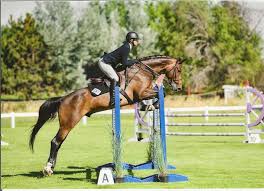 Image result for Fisher Equestrian