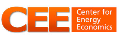 Image result for Team Economic Energy