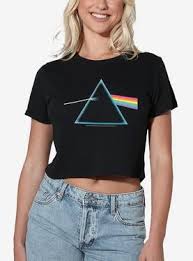 Image result for pink floyd girls