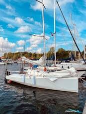 Image result for Pogo minitransat