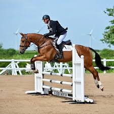 Image result for Jp-Sheffield Eventing