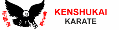 Image result for Kenshukai Karate