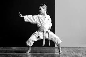 Image result for Imi Jishin Ryou karate do