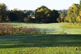 Image result for Avro Golf Club