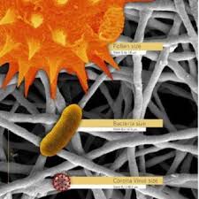 Attēlu rezultāti vaicājumam “pollen corona”