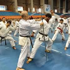 Image result for Independent Wadoryu Karate Federation