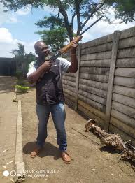 Image result for green ...ed=0CEIQsAQwAw