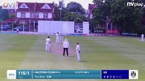 Image result for Halstead Cricket Club