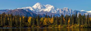 Image result for xbmc alaska