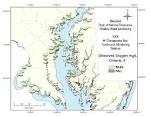 strong>2006 Continuous Monitoring Synopsis</