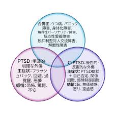 Image result for 衝動制御障害BPD