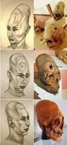 Image result for elongated skulls