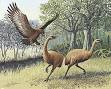 extinction: Definition, Synonyms from Answers.