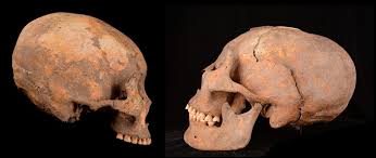 Image result for elongated skulls