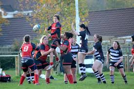 Image result for Minehead Barbarians Rfc Ltd