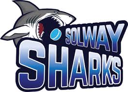 Image result for Solway