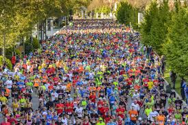 Image result for Runnymede Runners