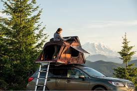 Image result for mountain top seashell