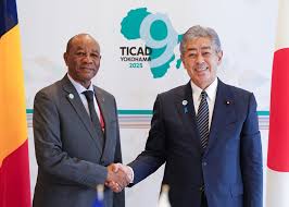 「アボカド大臣」の画像検索結果