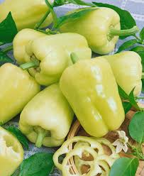 Afbeeldingsresultaat voor hungarian sweet white sweet pepper