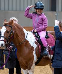 Image result for Bookham Riding School